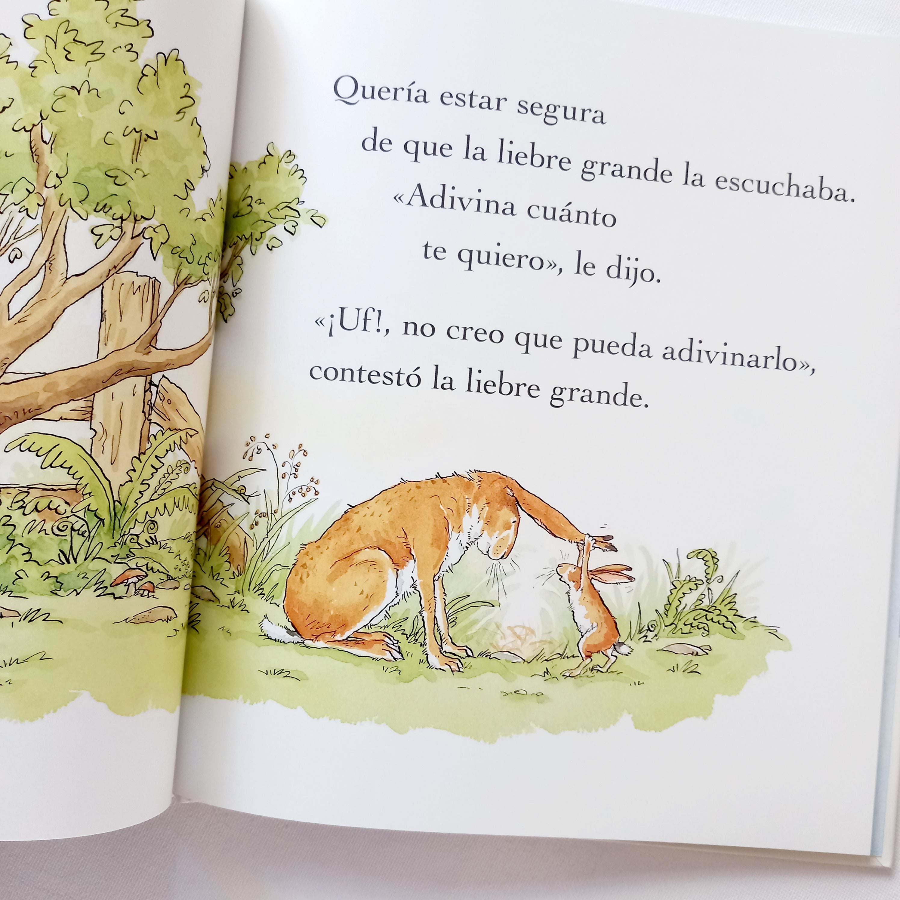 Adivina cuánto te quiero Adivina cuánto te quiero